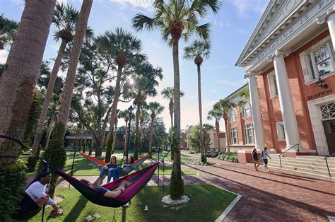 Stetson campus - The Gulfport campus, home to Stetson Law, has opportunities and diverse organizations for students to develop and display their talents in a variety of places. Campus Life Clinics and Externships Academic Success Study Abroad Career Services 